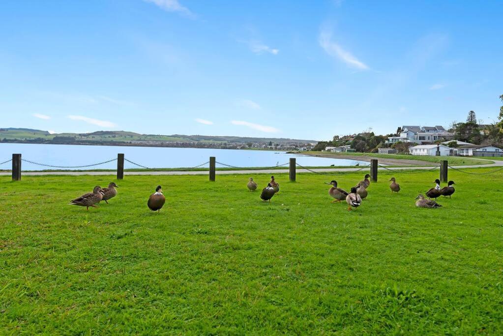 Waimahana - Luxury By The Lake タウポ エクステリア 写真